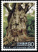 屋久島の縄文杉　世界遺産　切手　植物