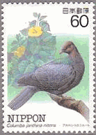 アカガシラカラスバト（日本）　鳩　切手