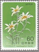 ミヤマウスユキソウ　高山植物　切手
