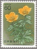 シナノキンバイ　高山植物　切手