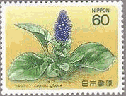 ウルップソウ　高山植物　切手