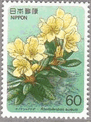 キバナシャクナゲ　高山植物　切手