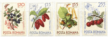 ルーマニアのフルーツ切手　ブルーベリー、サクランボ（comelian cherry）、ヘーゼルナッツ(Hazelnut)、サクランボ(Cherry)
