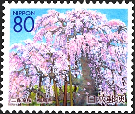 三春滝桜（福島）