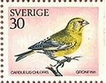 アオカワラヒラ（スウェーデン）　鳥　切手