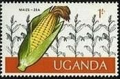 雑穀（millet)、さとうきび(Sugur cane)、タバコ(Tabacco)、たまねぎ（Onion)、とうもろこし(Corn）　ウガンダ　穀物　切手