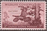野生の七面鳥（アメリカ,1956年）