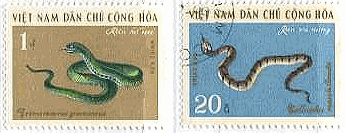 北ベトナムのヘビの切手（Bungarus faciatus,Akistrodonciatus(マムシ系),Trimeresurus gramoneus,Calliophis macclellandii)
