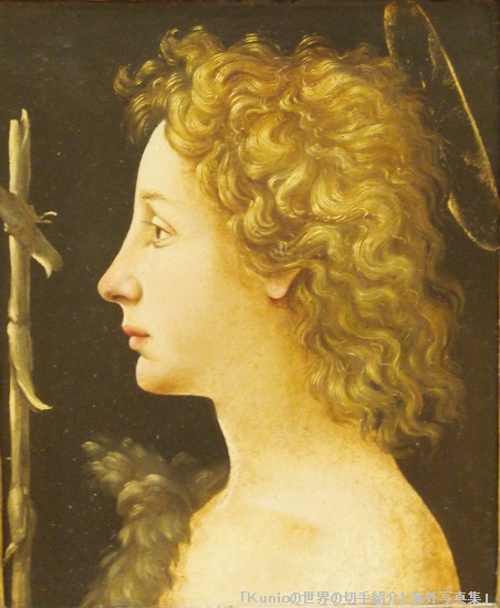 ピエロディコジモ Piero di Cosimo《The Young Saint John the Baptist》