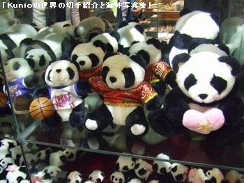 お店のショーウインドウに陳列されたパンダの沢山のヌイグルミ