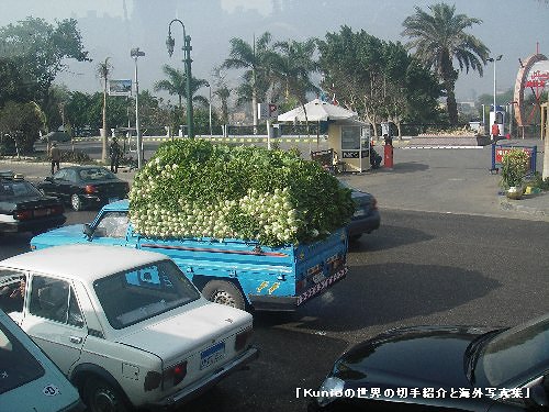 白菜らしき野菜を積んだトラック（カイロ市内で）