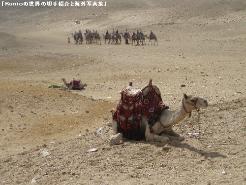 ピラミッドの傍の隊商(観光客）と砂漠のラクダ
