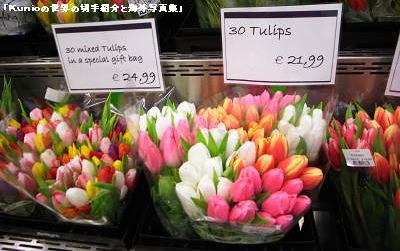 オランダ　チューリップの花　スキポール空港のお店