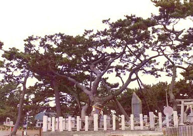 「羽衣の松」　三保の松原　左奥がエレーヌの碑（羽衣の碑）