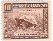 ガラパゴスの亀（1935年）　エクアドル　世界遺産　進化論