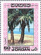 ヨルダン・アカバ(Aqaba）の海とやしの木