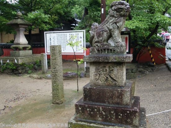 「日本一社・玉津島神社」の社号標　浪花狛犬