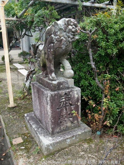 三重県護国神社　鳥居前の狛犬