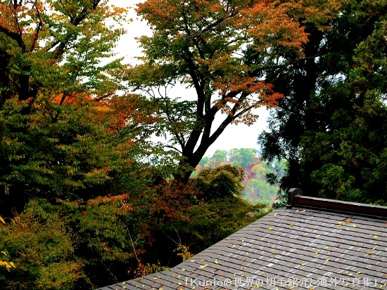 金峯神社　境内の紅葉