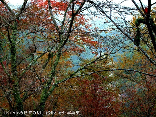 七曲り坂の紅葉の間から眼下に見える近鉄吉野駅周辺