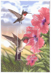 ZCcELbc@n`h@^V[g@Archilochus colubris, Ruby-throated Hummingbird, mhAJn`h 