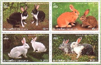 タイ　ウサギ　ラビット　切手