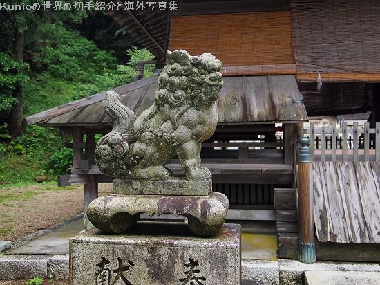 鹽津神社　拝殿前の狛犬