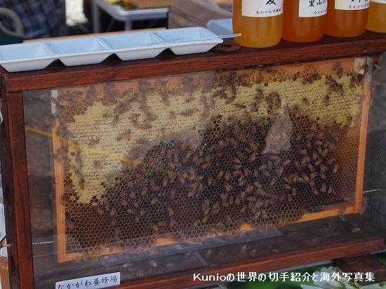 養蜂場のハチミツ