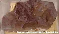 蛍石（メキシコ）　岩石　鉱物　フローライト