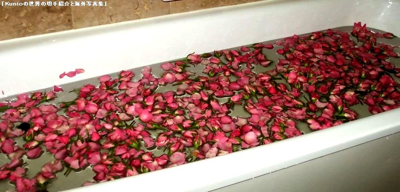 バラ　薔薇　風呂　タイ　ﾎﾃﾙ　バクローン花市場