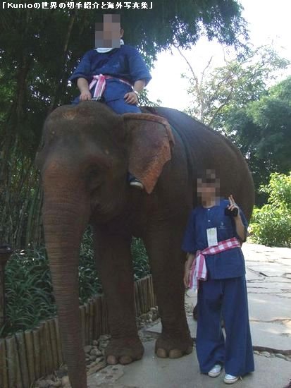タイ　チェンライ　「象使いトレーニング&象乗り体験」