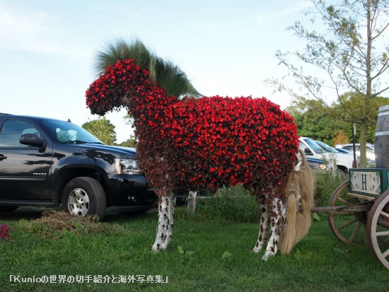 <p>花で出来た馬（観光農園）</p>