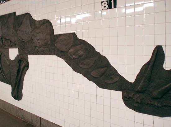 地下鉄のアメリカ自然史博物館駅　化石も