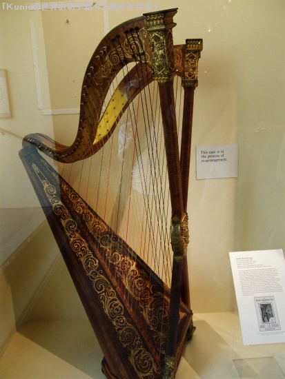 ハープ｜Double Chromatic harp 