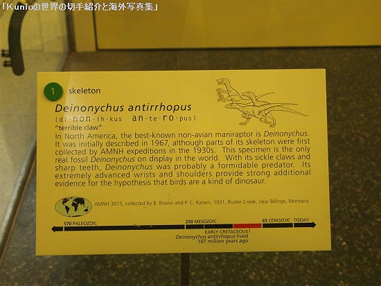 Deinonychus (デイノニクス)