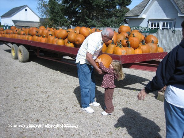 ハロウィンの時季に近づきました。大きなカボチャと子供とおじいちゃん