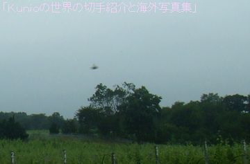 Mattituckの街中のブドウ畑で見たＵＦＯらしき飛行物体