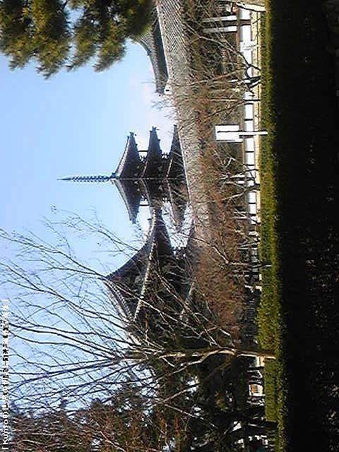 法隆寺・金堂と五重塔