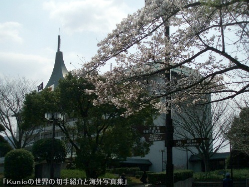 天理市役所と桜
