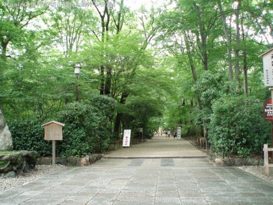 下鴨神社参道 糺（ただす）の森