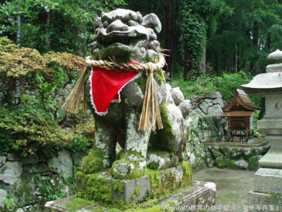 高天彦神社の狛犬
