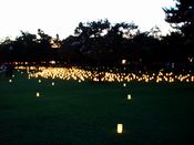奈良公園の「なら燈花会」