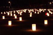 奈良公園の「なら燈花会」