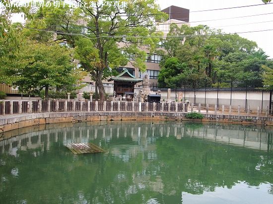 四天王寺 本坊庭園　極楽の池
