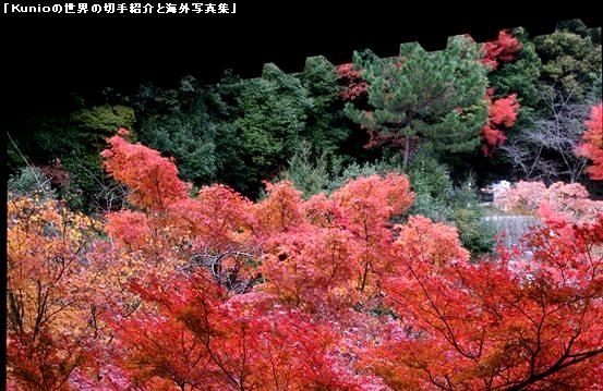 京都・清水寺の紅葉