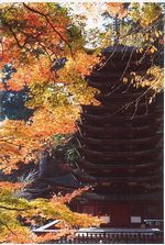 奈良・談山神社の紅葉