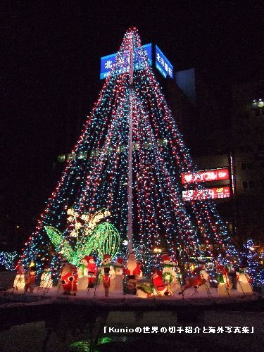 札幌大通公園のイルミネーション（2009年12月）