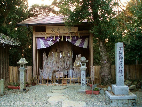 神明神社の神木のクスノキの祠