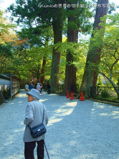室生寺の参道